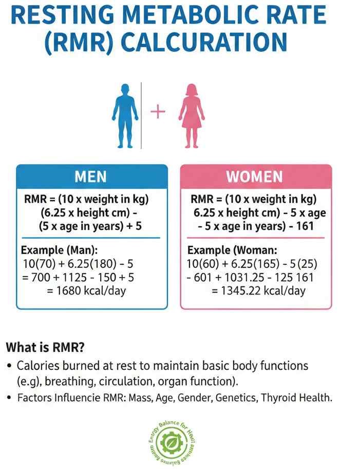 us calculator Resting Metabolic Rate Calculator